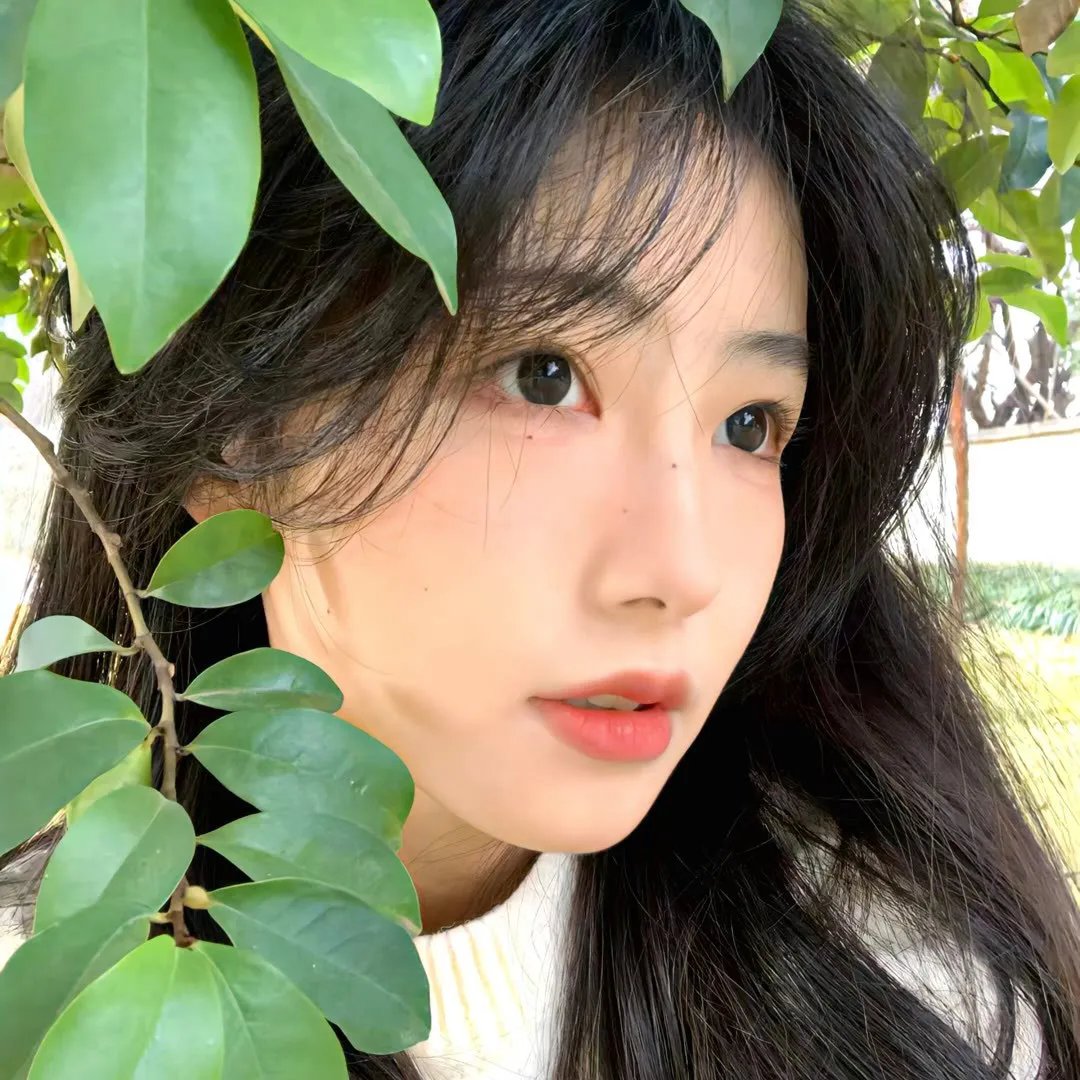 幻乐森林